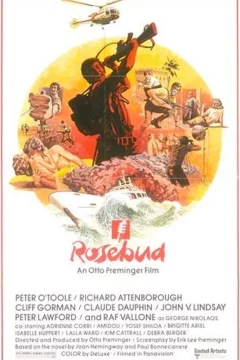 Affiche du film = Rosebud