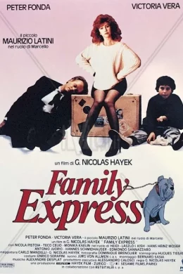 Affiche du film Family express