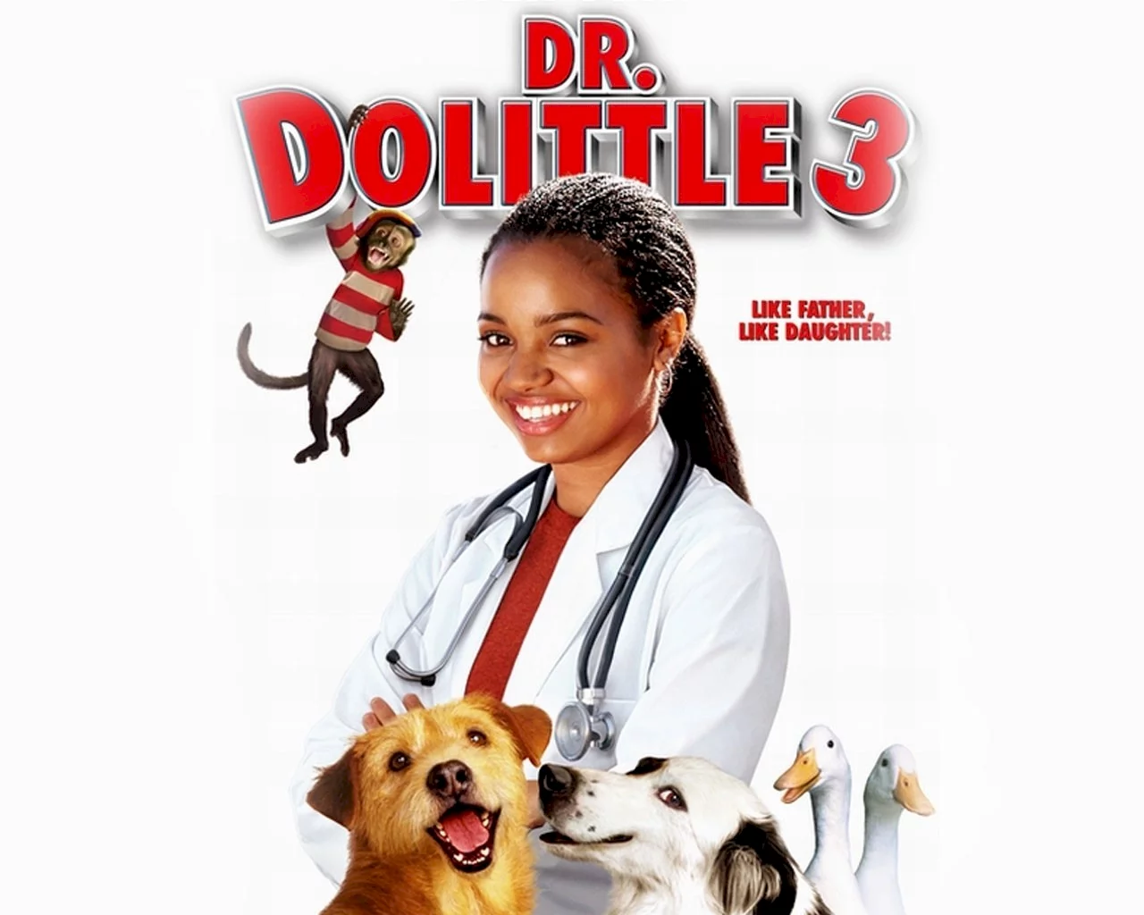 Photo 3 du film : Dr dolittle 3