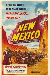 Affiche du film : New mexico