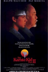 Affiche du film : Karate kid, le moment de vérité II