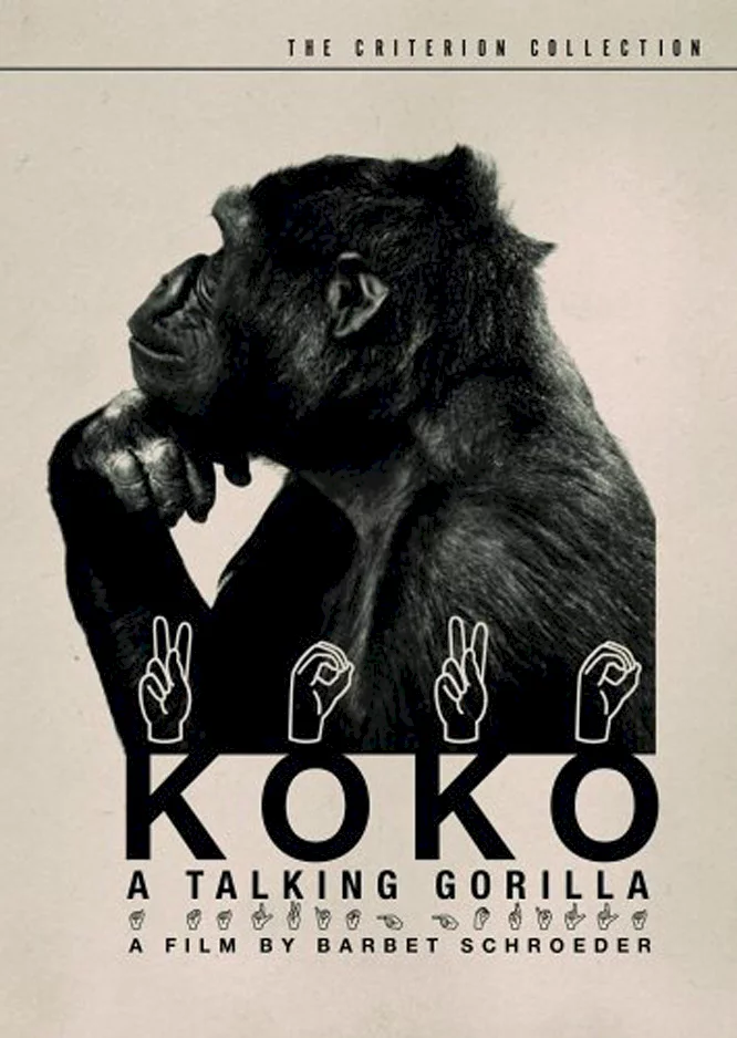 Photo 1 du film : Koko le gorille qui parle