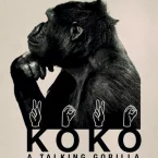 Photo du film : Koko le gorille qui parle