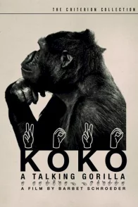 Affiche du film : Koko le gorille qui parle