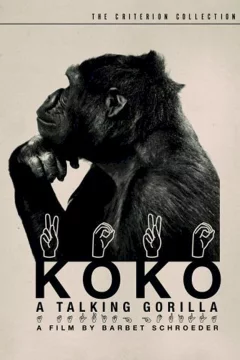 Affiche du film = Koko le gorille qui parle