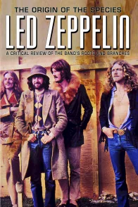 Affiche du film : Zeppelin !