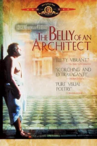 Affiche du film : Le ventre de l'architecte