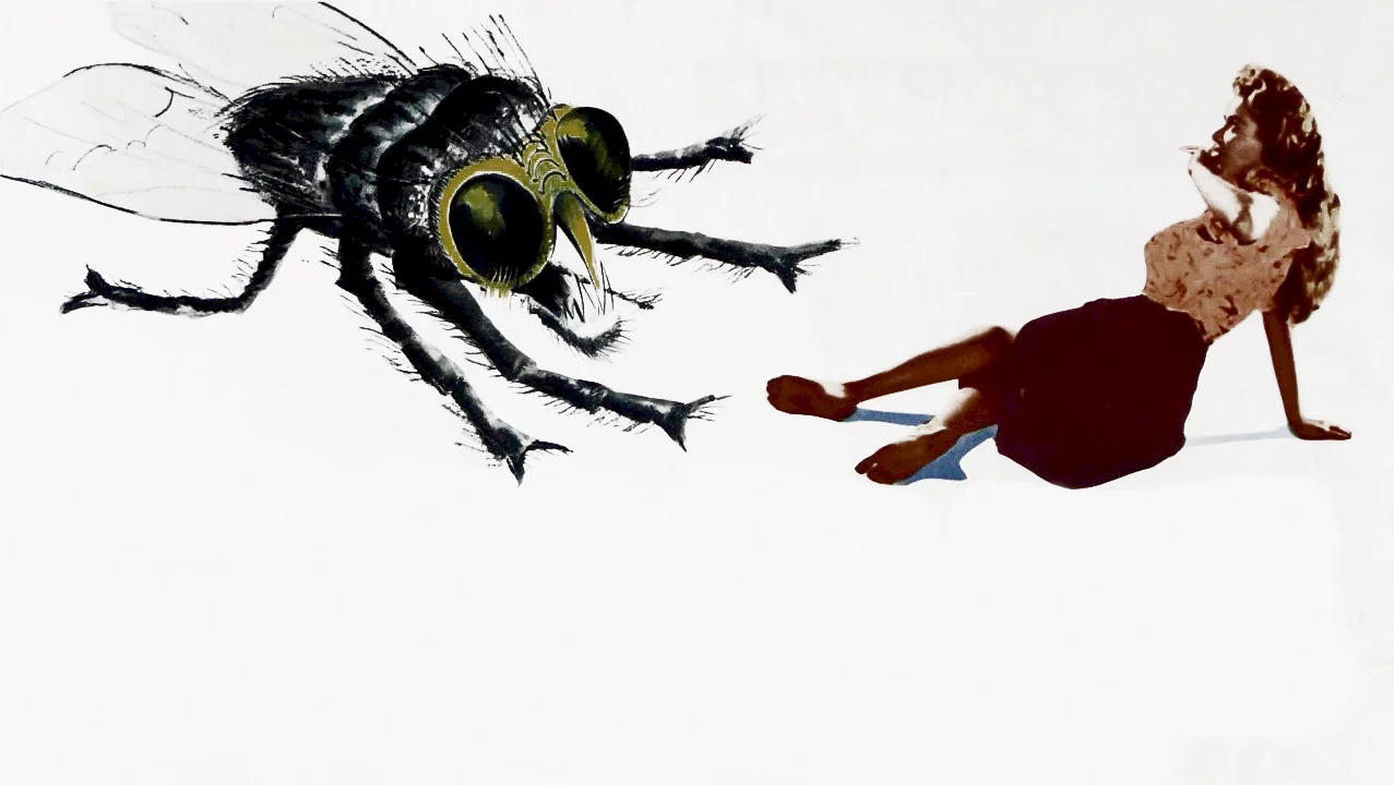 Photo 2 du film : La mouche noire
