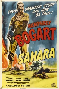 Affiche du film : Sahara