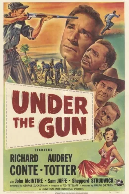 Affiche du film Under the gun