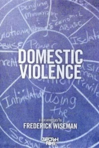 Affiche du film : Domestic violence