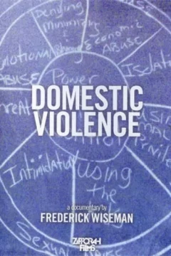 Affiche du film = Domestic violence