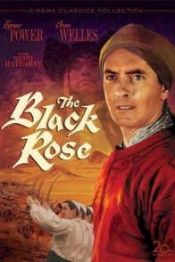 Affiche du film : La rose noire