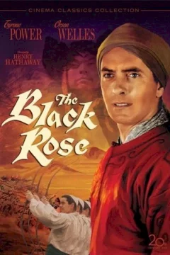 Affiche du film = La rose noire