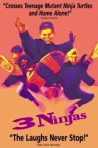 Affiche du film : Ninja kids