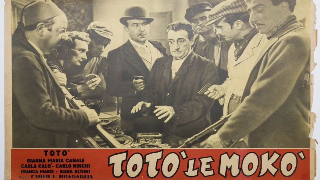 Photo 4 du film : Toto le moko