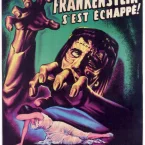 Photo du film : Frankenstein s'est echappe