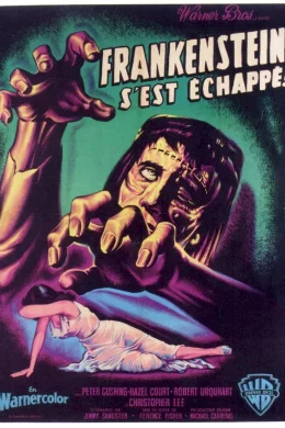 Affiche du film Frankenstein s'est echappe