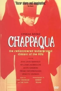Affiche du film : Chappaqua