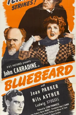 Affiche du film Barbe bleue