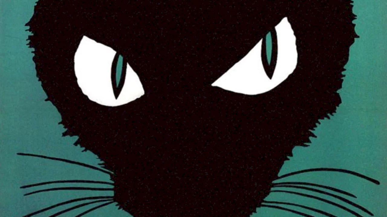 Photo 3 du film : Le chat noir