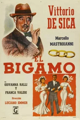 Affiche du film Le bigame