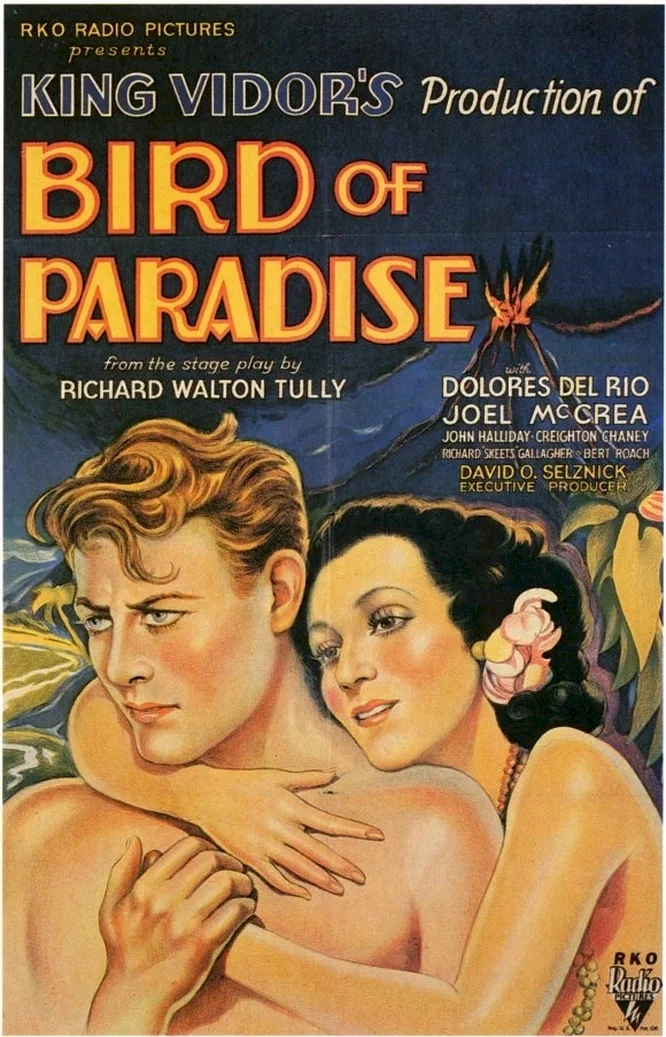 Photo 1 du film : L'oiseau de paradis