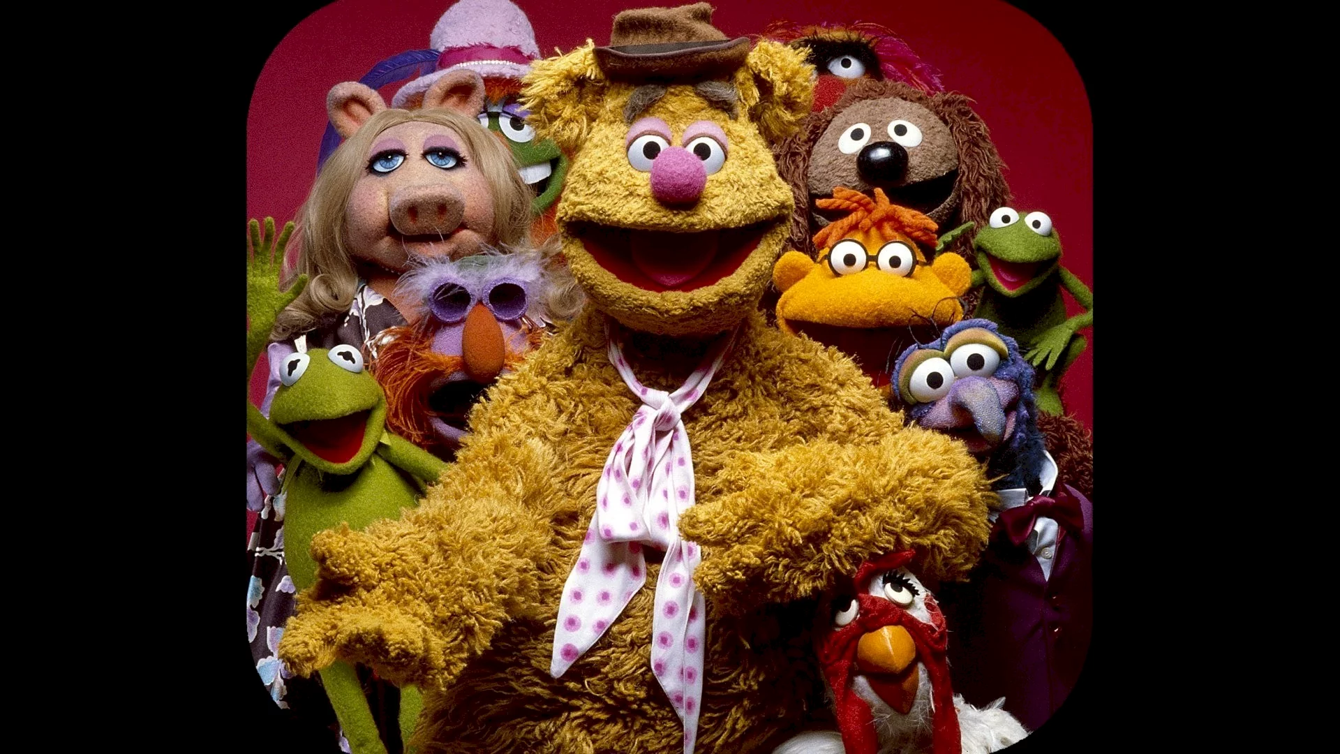 Photo du film : Les muppets