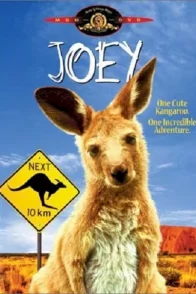 Affiche du film : Joey