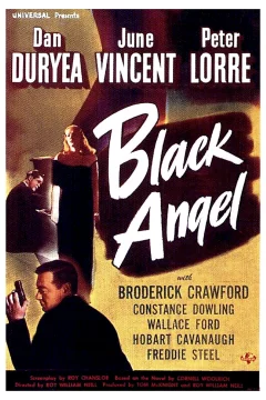 Affiche du film = L'ange noir