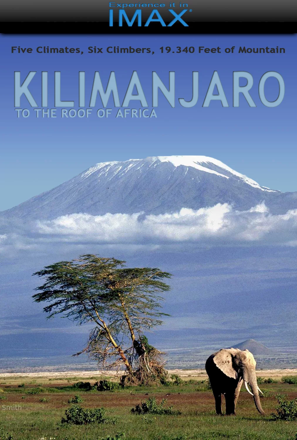 Photo 1 du film : Kilimanjaro