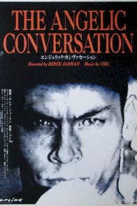 Affiche du film : The angelic conversation