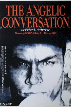 Affiche du film = The angelic conversation