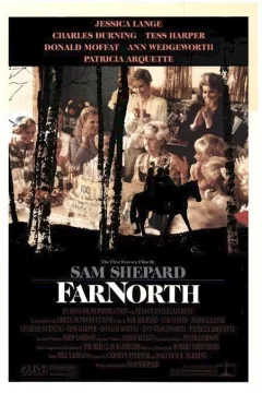 Affiche du film = Far north