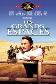 Affiche du film : Les Grands Espaces