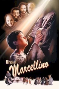 Affiche du film : Marcellino