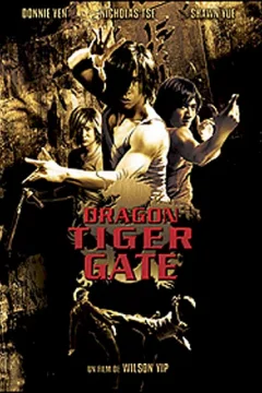 Affiche du film = Dragon tiger gate