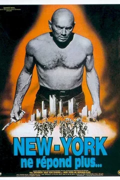 Affiche du film = New York ne répond plus