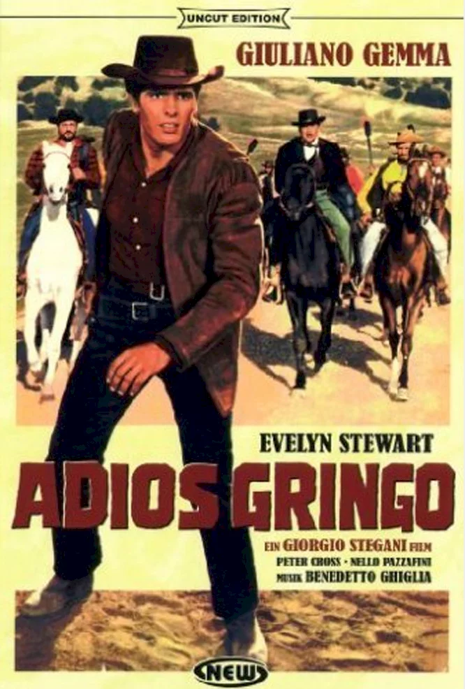 Photo 1 du film : Adios gringo