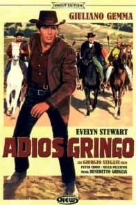Affiche du film : Adios gringo
