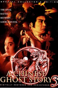 Affiche du film : Histoires de fantomes chinois 3