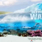 Photo du film : Tahiti 3D destination surf