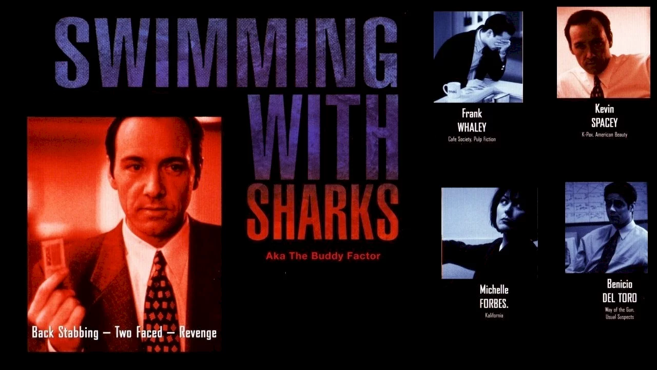 Photo 6 du film : Swimming with sharks