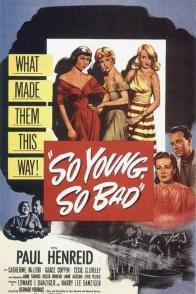Affiche du film : So Young so Bad