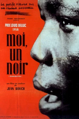 Affiche du film Moi un noir