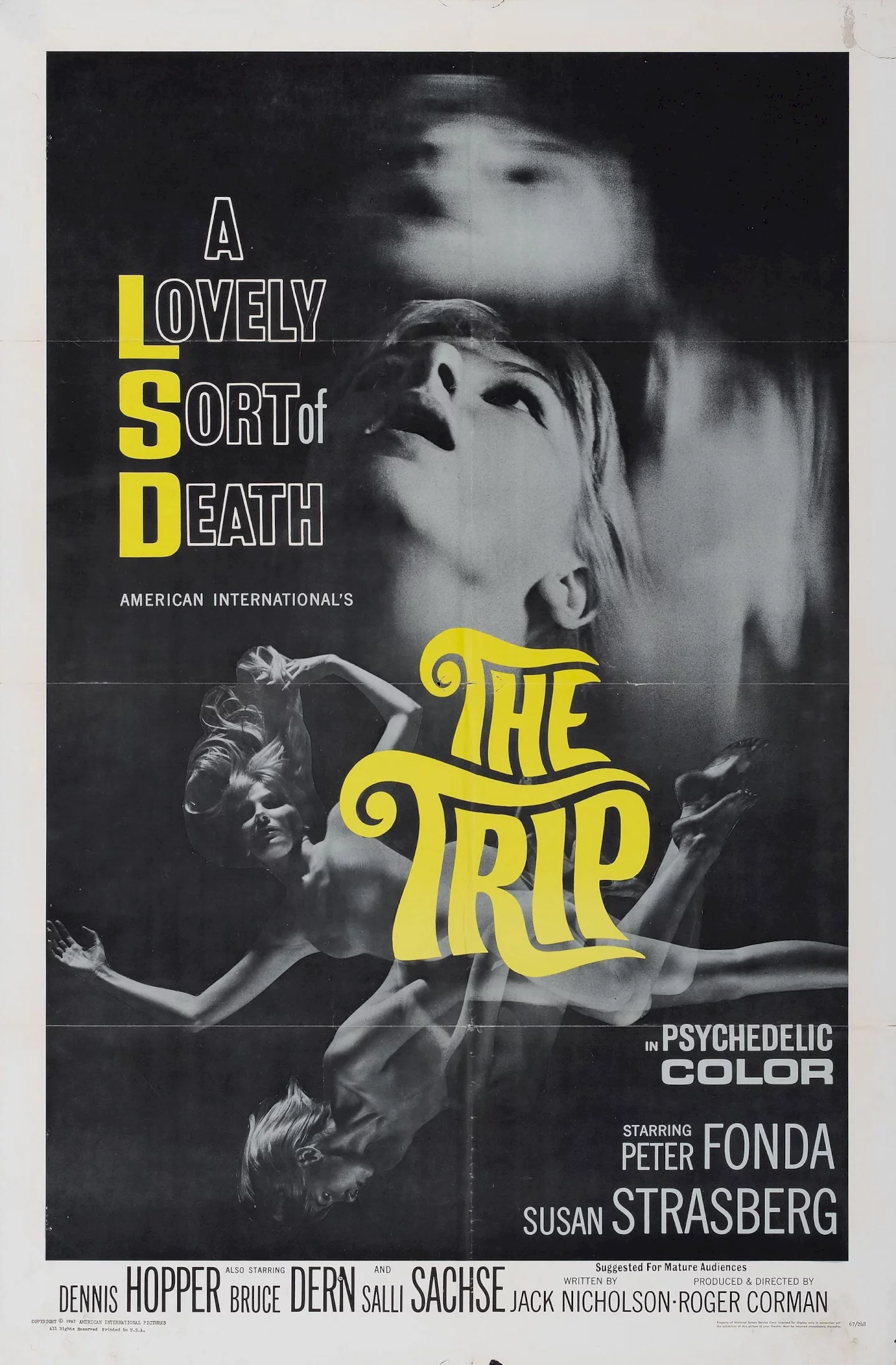 Photo 1 du film : The trip