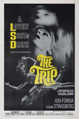 Affiche du film The trip