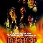 Photo du film : Panther