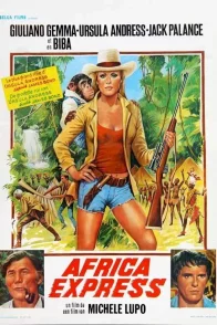 Affiche du film : Africa express