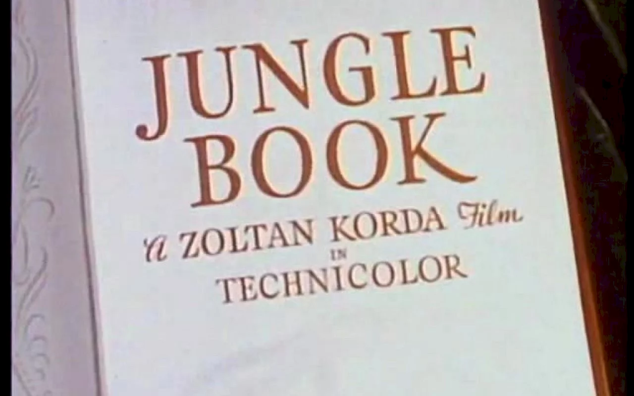 Photo 2 du film : Le livre de la jungle